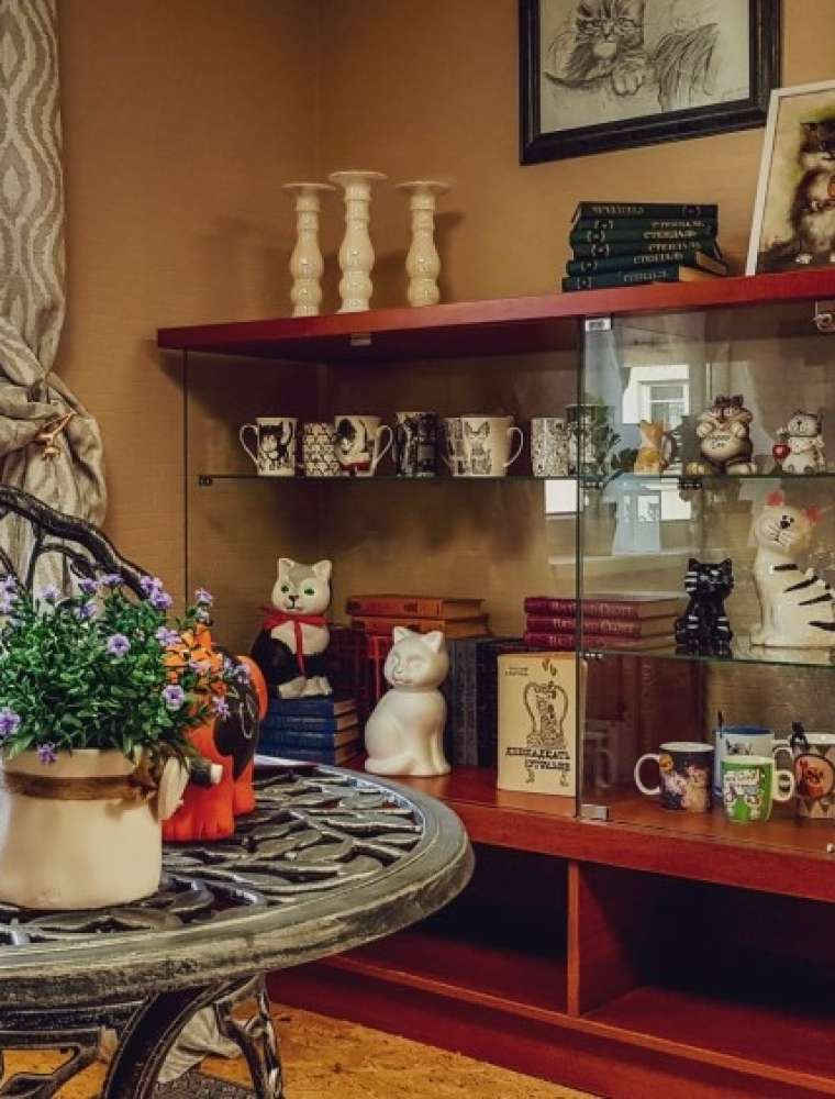 Creative Master Classes in “Cat Farm”