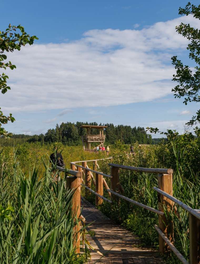 Marsh Trail in Peleci Lake