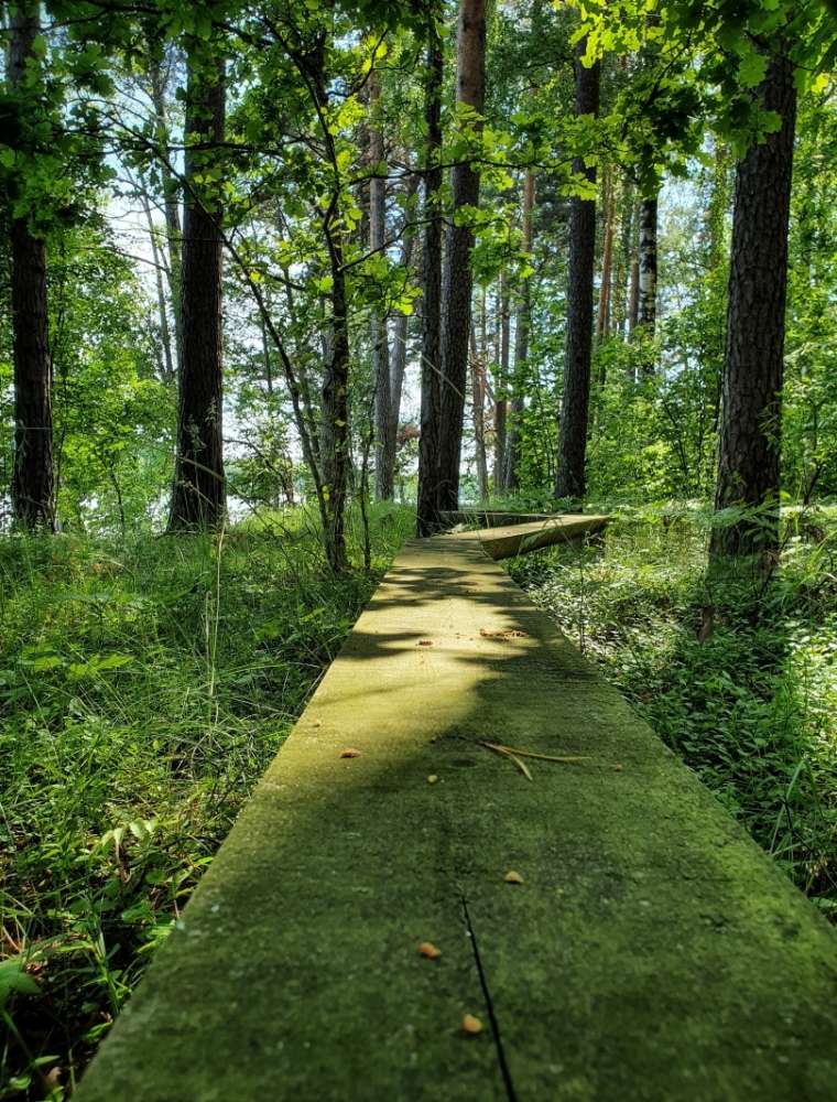 Upursala Nature Trail in Cirisa Lake