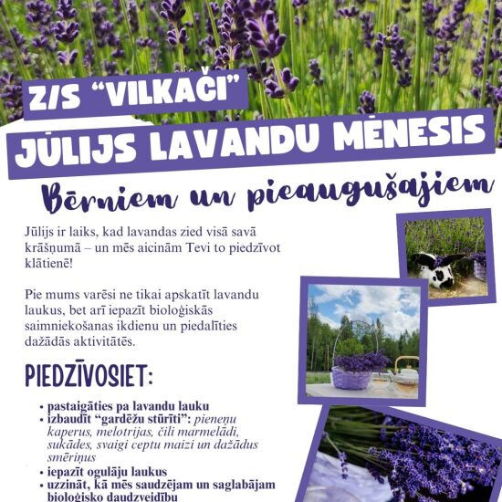 Jūlijs lavandu mēnesis z/s 