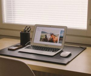 Quid autem habent admirationis, cum prope accesseris?