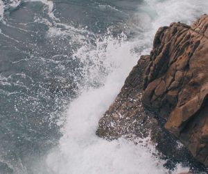 Nunc vides, quid faciat.