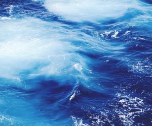 Nunc vides, quid faciat.