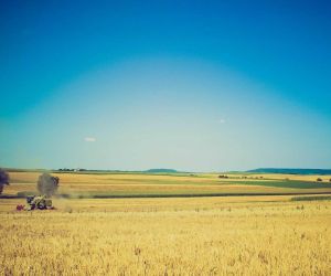 Quid autem habent admirationis, cum prope accesseris?