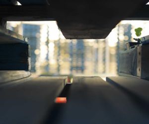 Quid autem habent admirationis, cum prope accesseris?