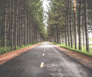 Quid autem habent admirationis, cum prope accesseris?