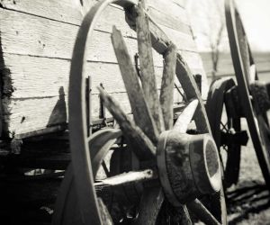 Est enim tanti philosophi tamque nobilis audacter sua decreta defendere.