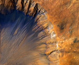 Est enim tanti philosophi tamque nobilis audacter sua decreta defendere.