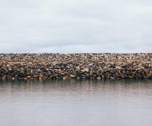 Est enim tanti philosophi tamque nobilis audacter sua decreta defendere.