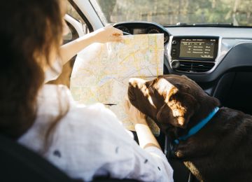 Car routes