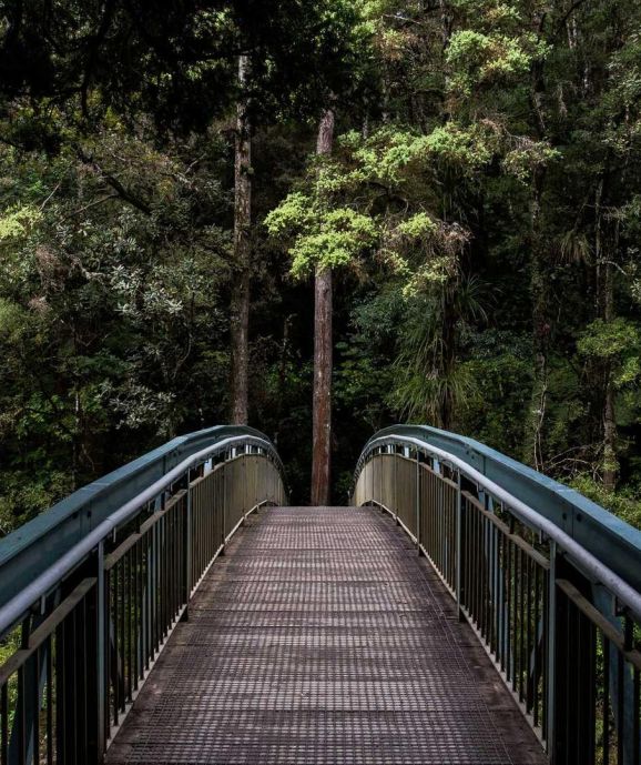 Audax negotium, dicerem impudens, nisi hoc institutum postea translatum ad philosophos nostros esset.