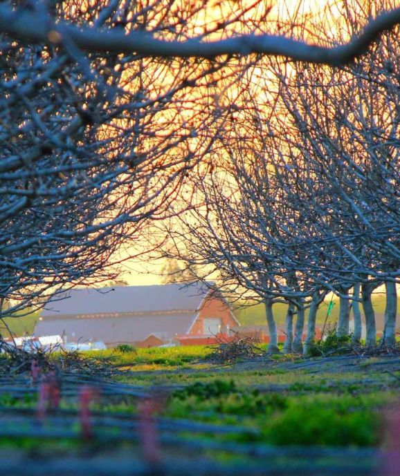 Causa autem fuit huc veniendi ut quosdam hinc libros promerem.