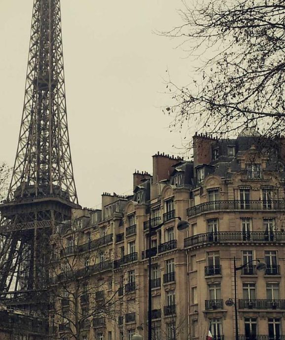 Deinde disputat, quod cuiusque generis animantium statui deceat extremum.