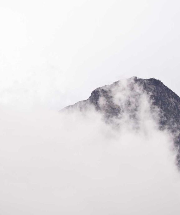 Quae diligentissime contra Aristonem dicuntur a Chryippo.