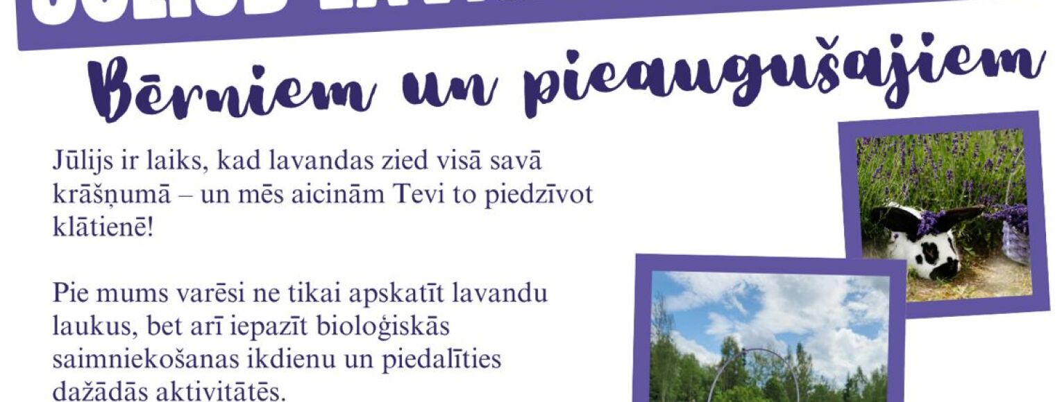 Jūlijs lavandu mēnesis z/s 