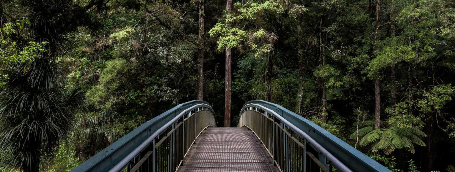 Audax negotium, dicerem impudens, nisi hoc institutum postea translatum ad philosophos nostros esset.