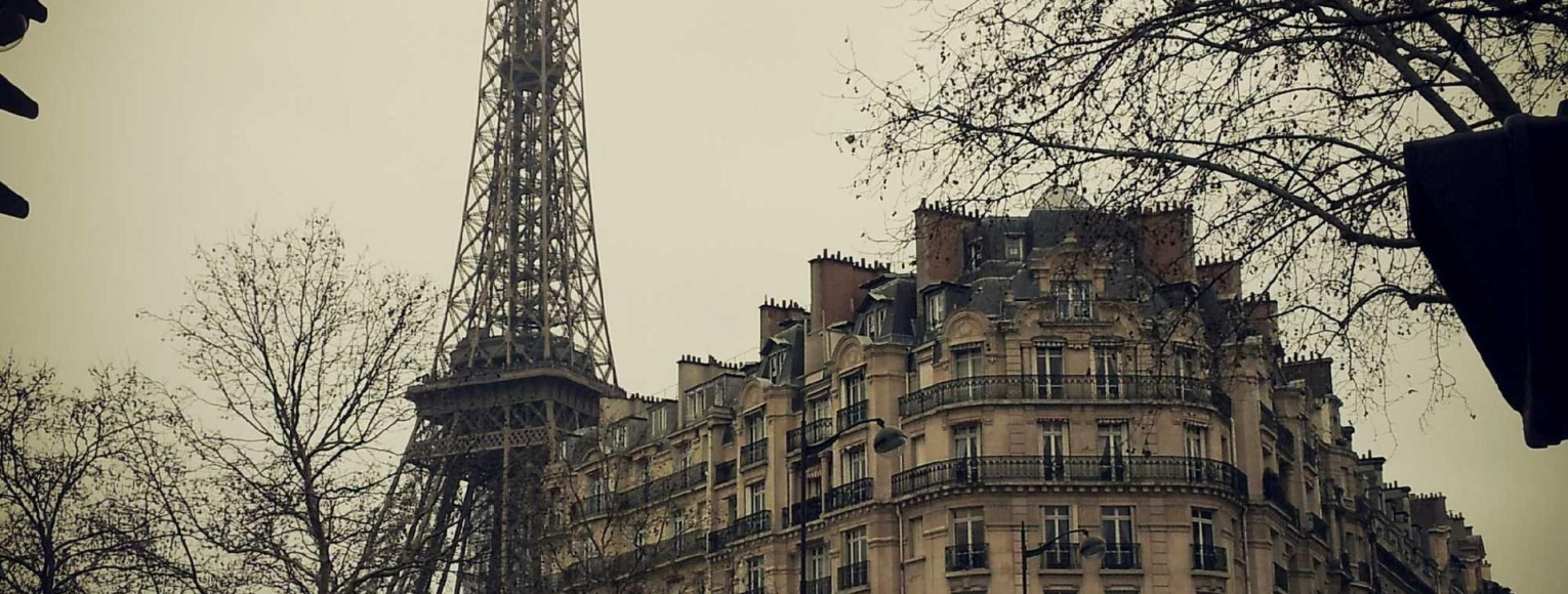 Deinde disputat, quod cuiusque generis animantium statui deceat extremum.