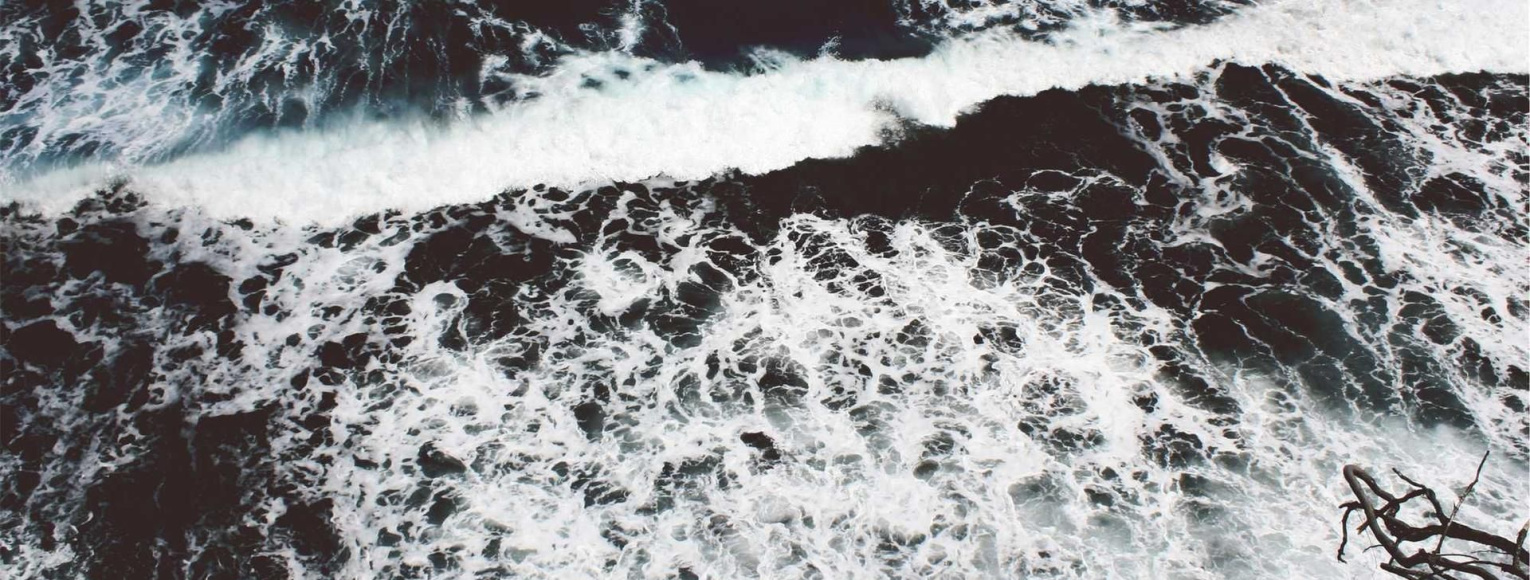 Innumerabilia dici possunt in hanc sententiam, sed non necesse est.