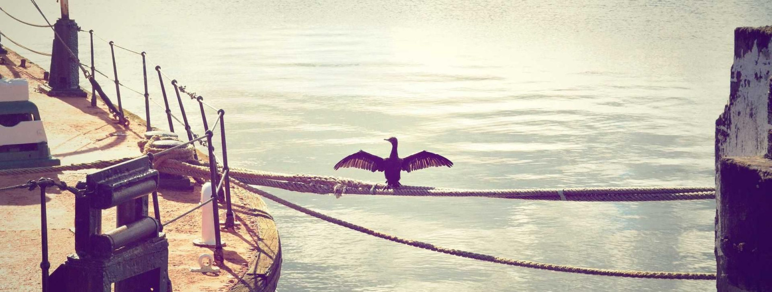 Ergo illi intellegunt quid Epicurus dicat, ego non intellego?